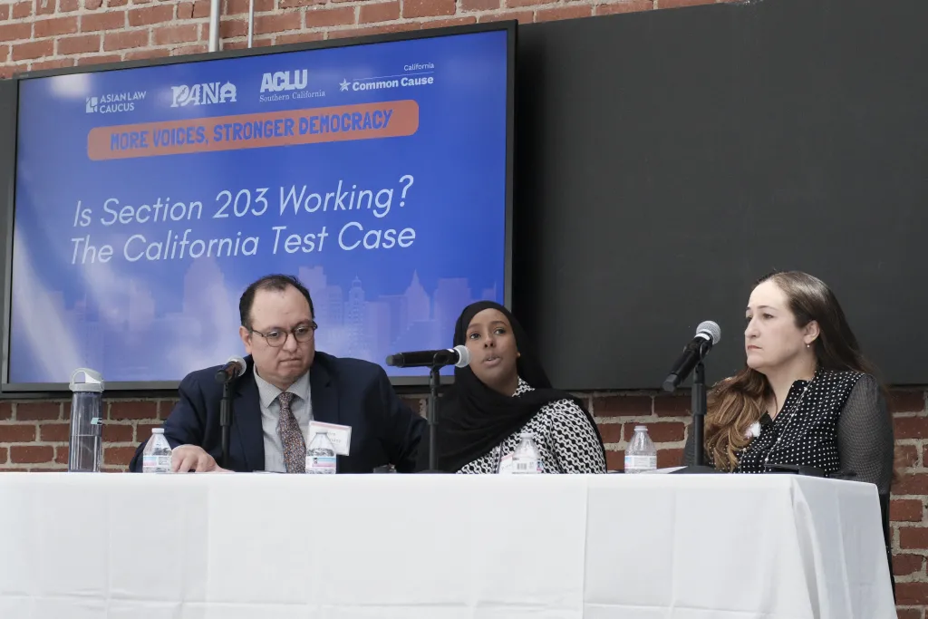 Panel discussion at the language access summit in 2025