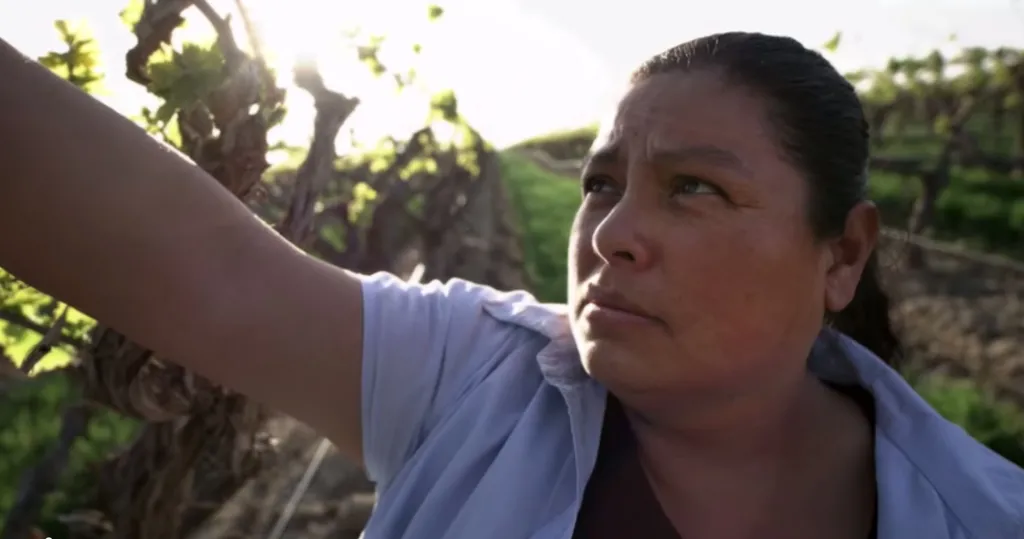 Screencap of Dreamer Parent in grape field