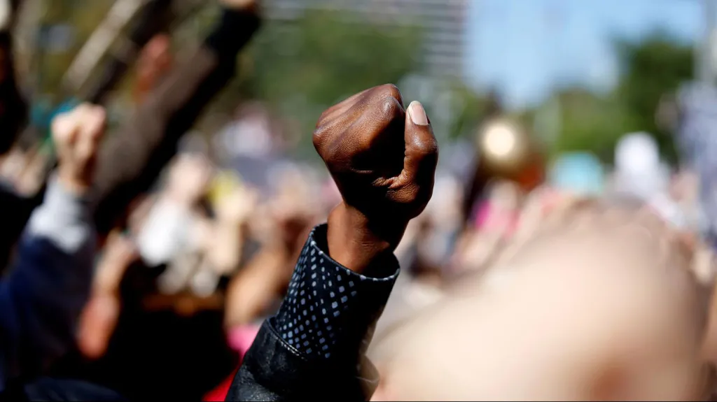 Fist in the air at a rally