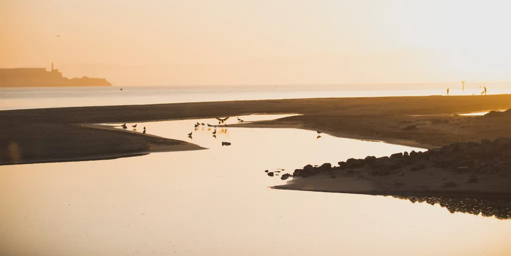 People play at the beach at sunset