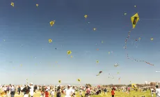 Kites over Crissy Field