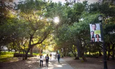 People walking on a path surrounded by trees at a university