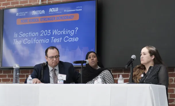 Panel discussion at the language access summit in 2025
