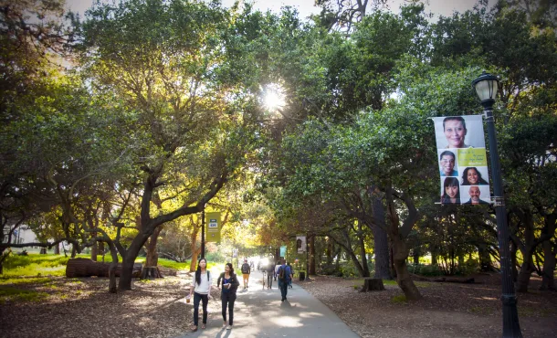 People walking on a path surrounded by trees at a university