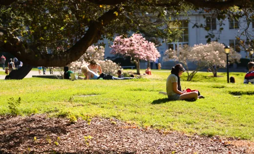 Students studying on UC Berkeley campus
