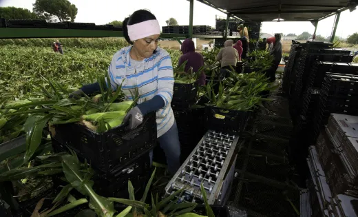 Woman working in the fields