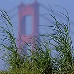View of Golden Gay Bridge from Crissy Field
